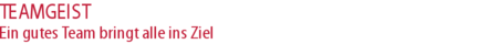 TEAMGEIST