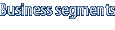Business segments