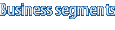 Business segments